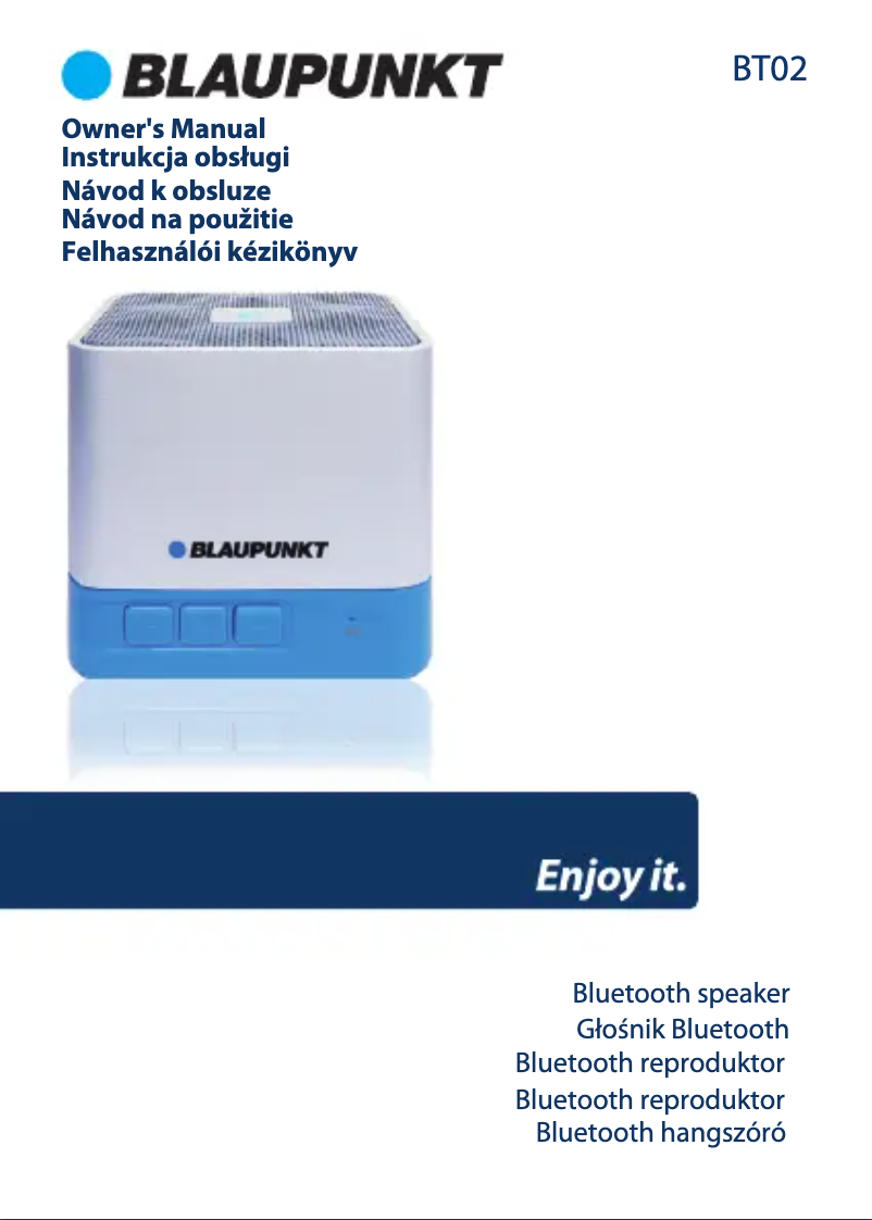 Page 1 de la notice Manuel utilisateur Blaupunkt BT02