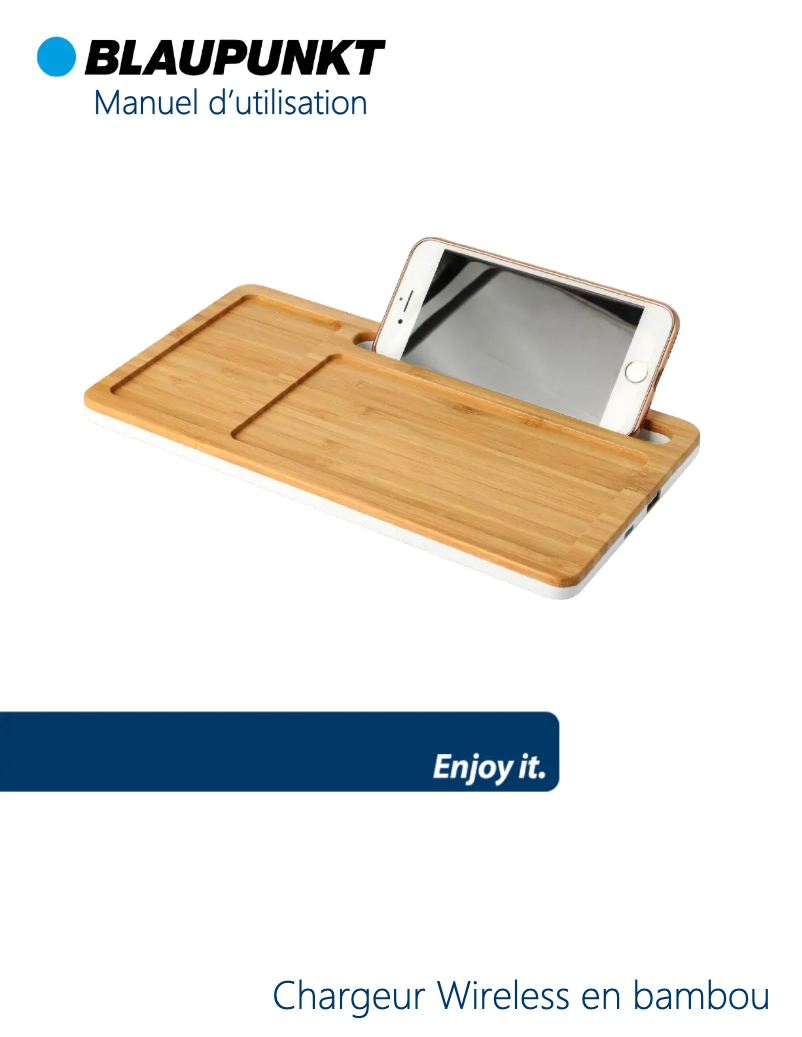 Image de la première page du manuel de l'appareil BLP7670