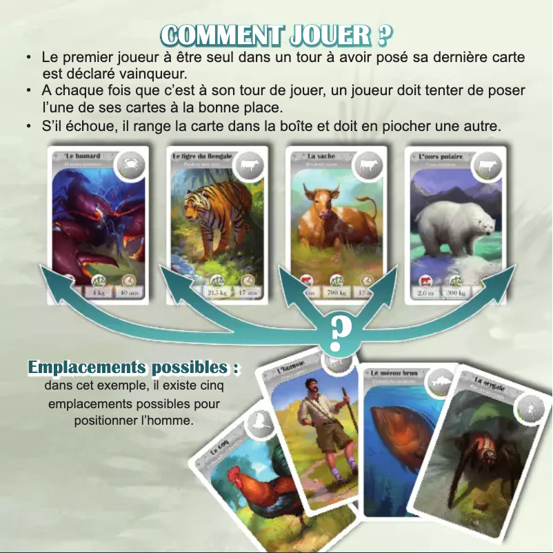 Page 1 de la notice Manuel utilisateur Bombyx Cardline Animals