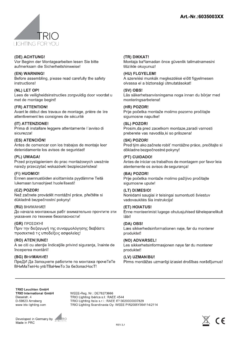 Page 1 de la notice Manuel utilisateur Trio Lighting Zandor 603500331