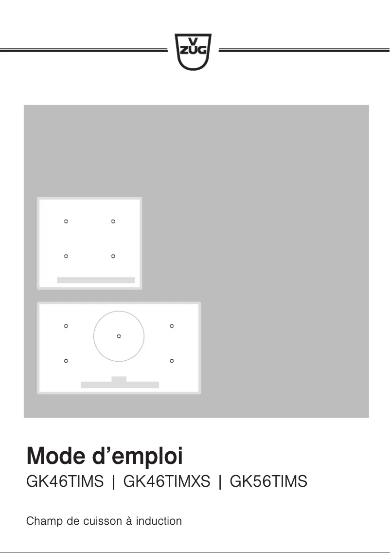 Image de la première page du manuel de l'appareil GK46TIMSF
