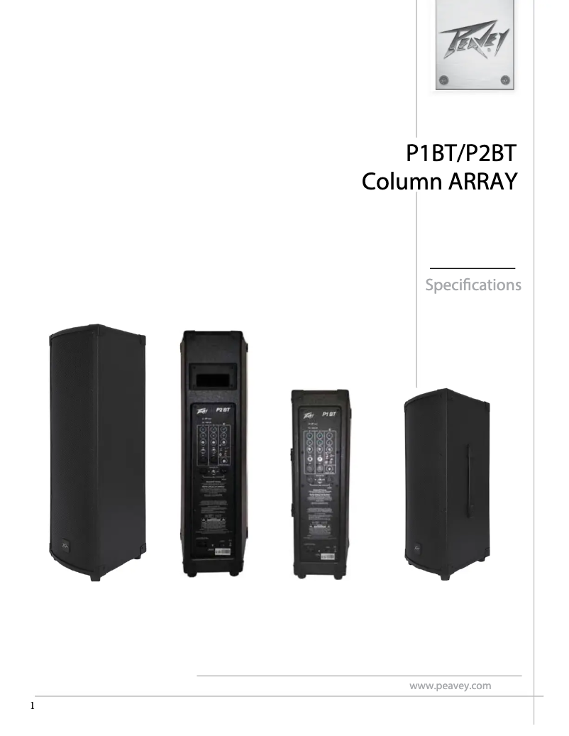 Image de la première page du manuel de l'appareil P1 BT