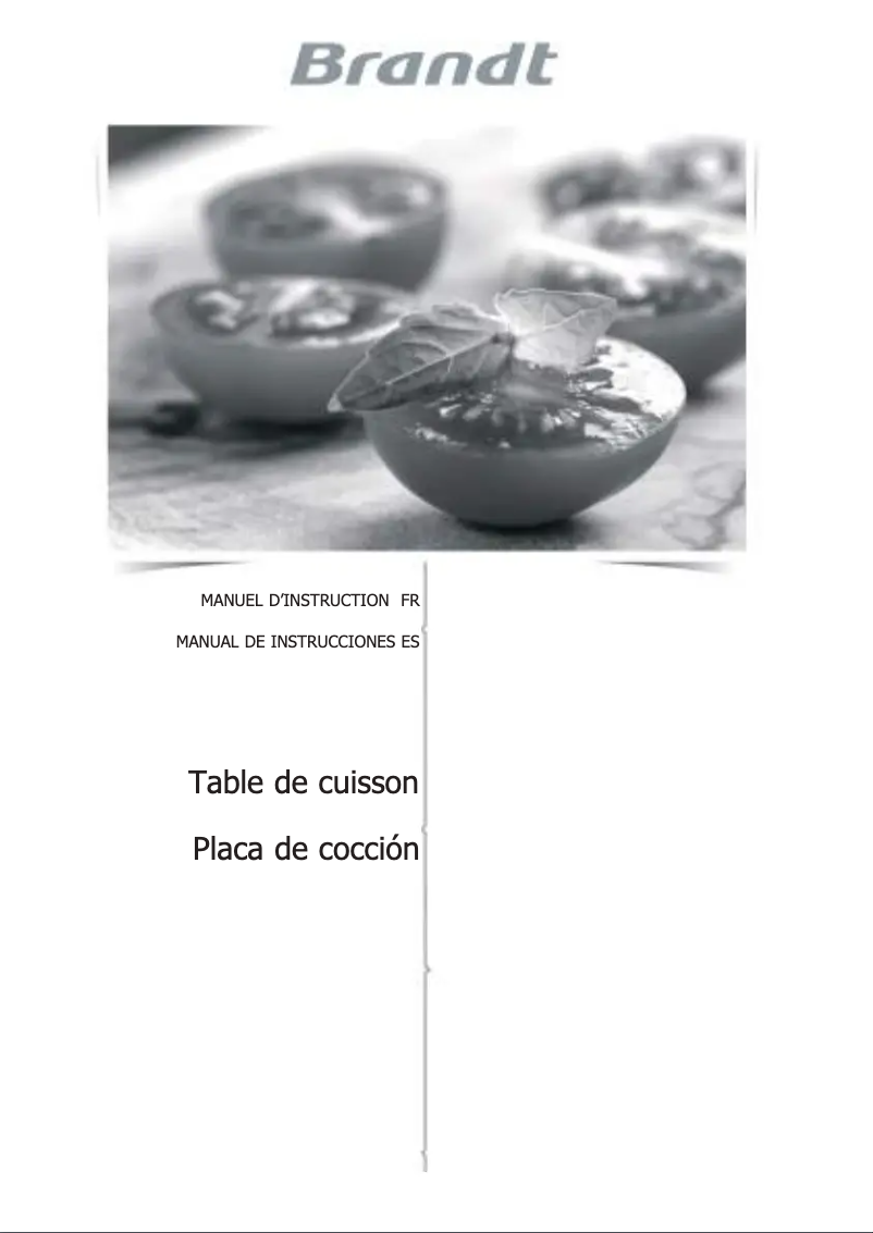 Page 1 de la notice Manuel utilisateur Brandt BPI6364B