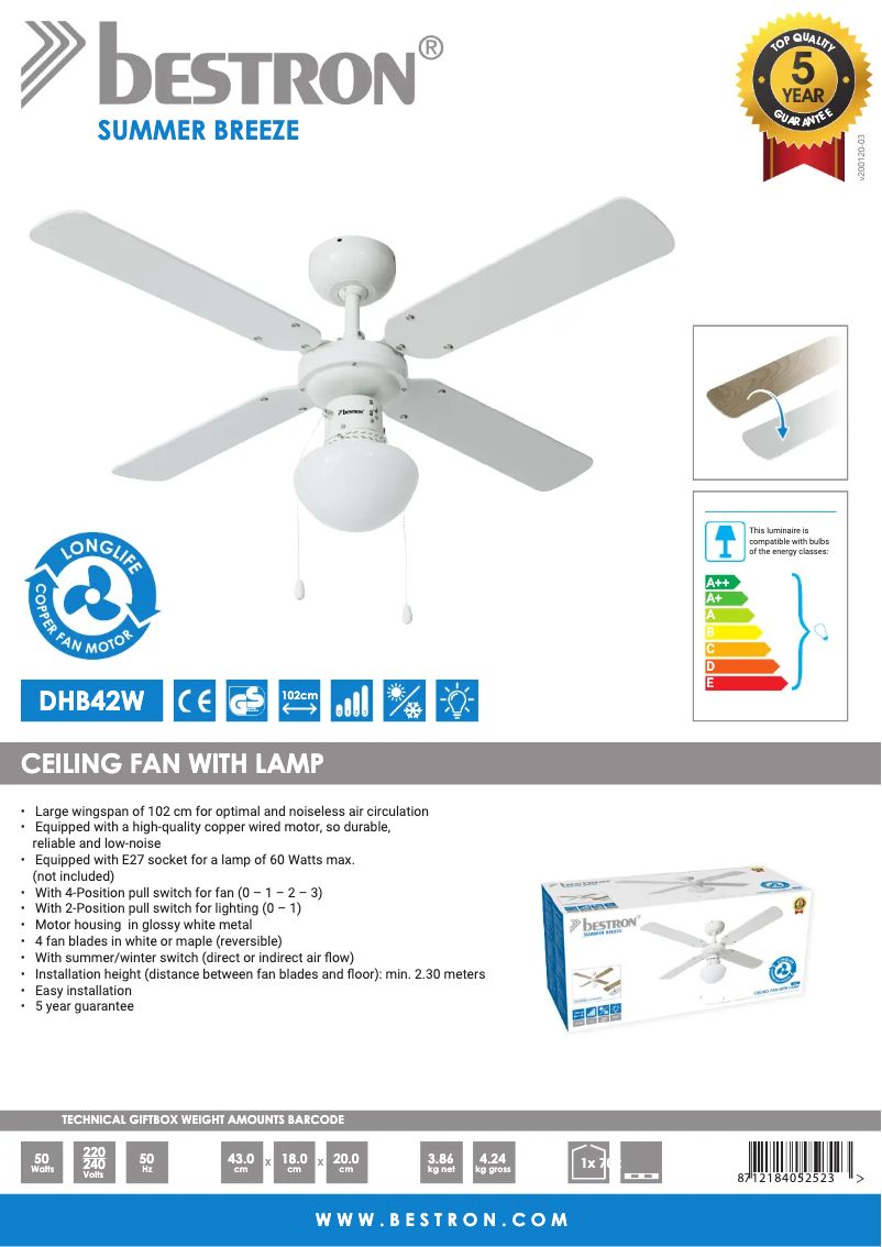 Image de la première page du manuel de l'appareil DHB42W