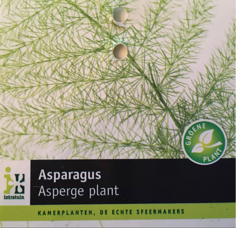 Page n°1 - Manuel utilisateur Intratuin Asparagus