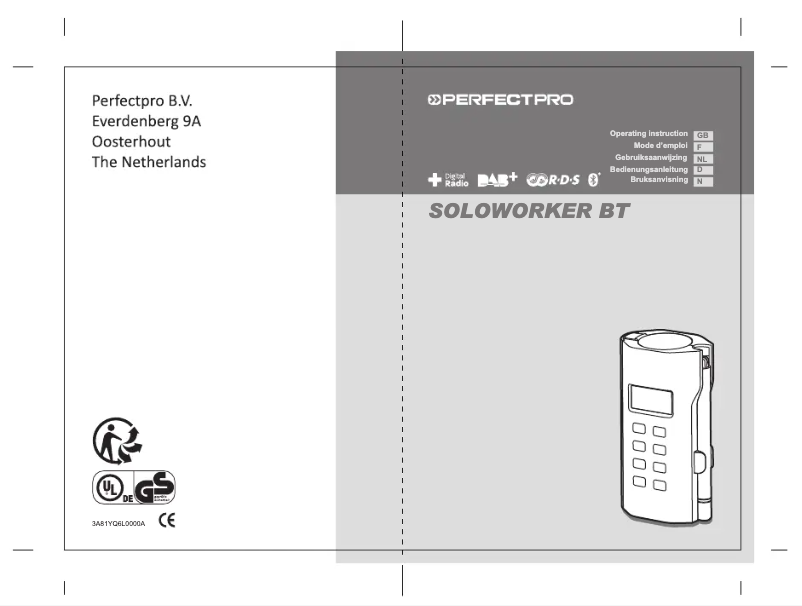 Image de la première page du manuel de l'appareil SOLOWORKER DAB+ BT