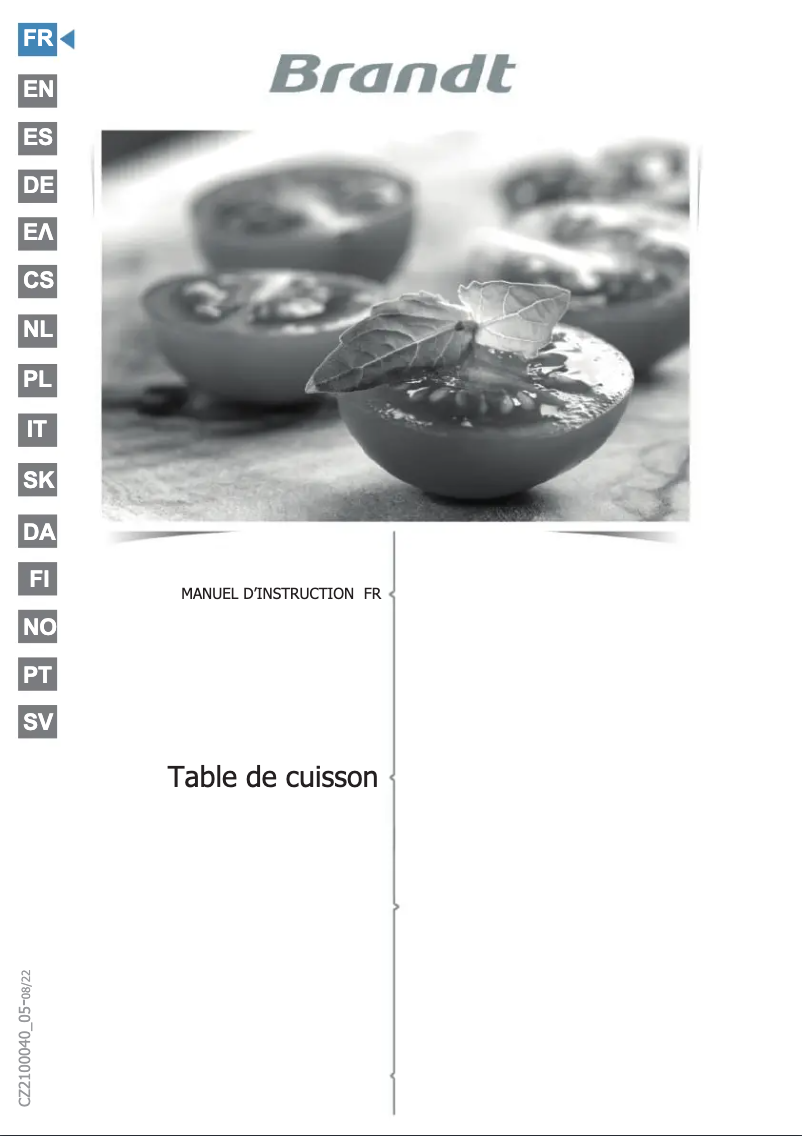 Page 1 de la notice Manuel utilisateur Brandt BPI164HUB