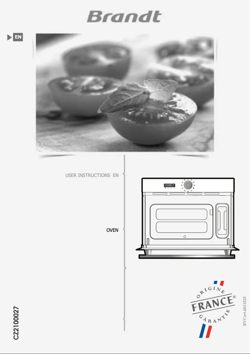Image de la première page du manuel de l'appareil BKV7132LX