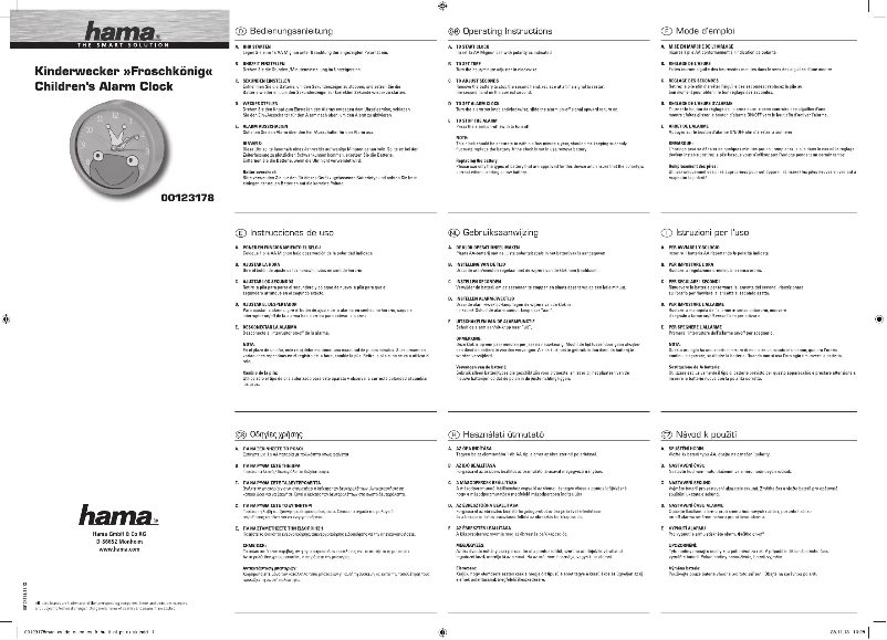 Page 1 de la notice Manuel utilisateur Hama Frog King