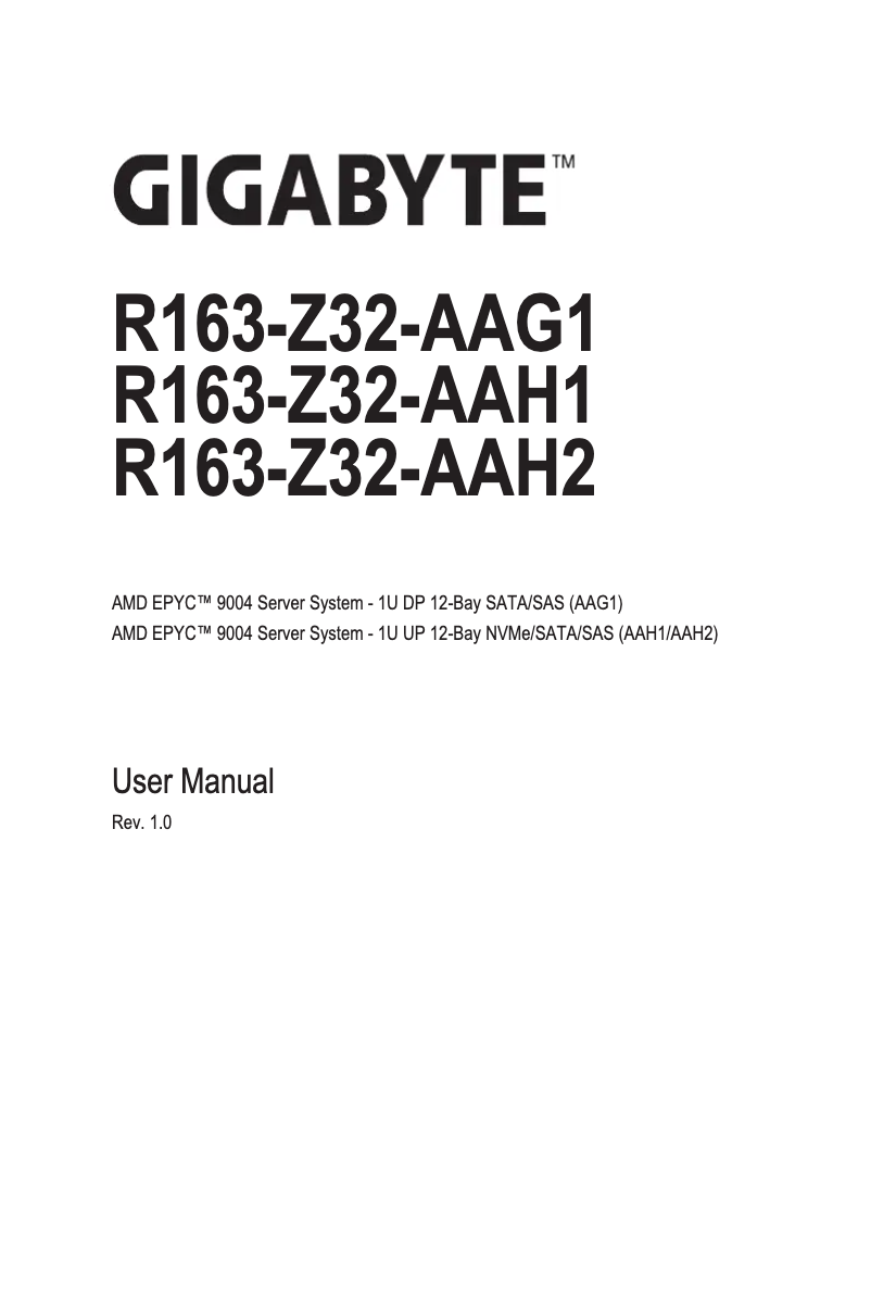 Image de la première page du manuel de l'appareil R163-Z32