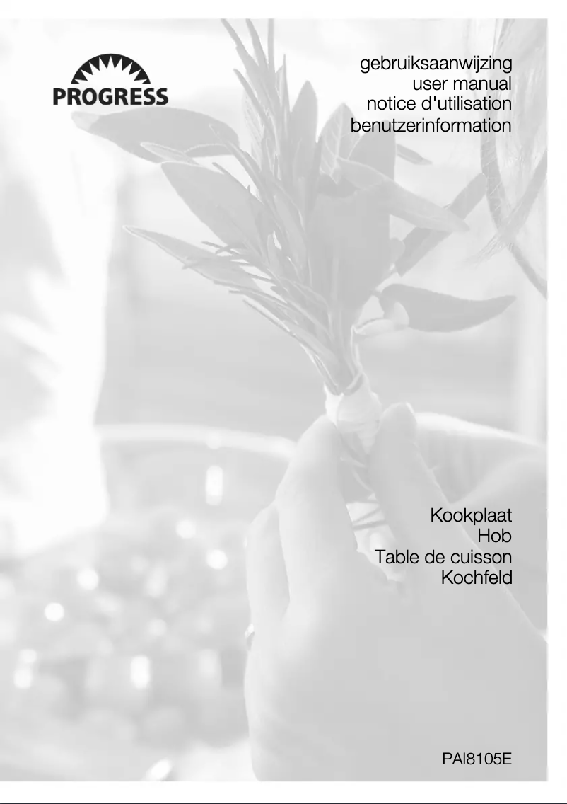 Image de la première page du manuel de l'appareil PAI8105E