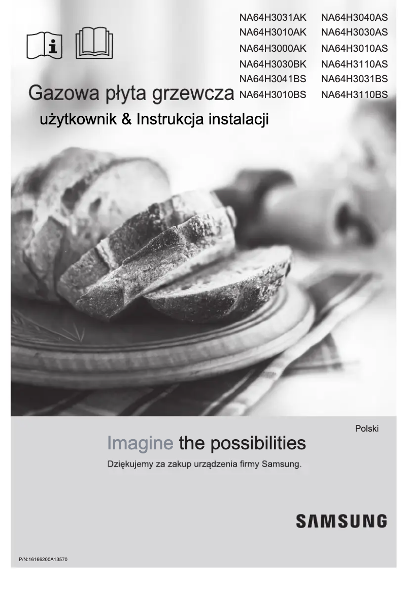 Image de la première page du manuel de l'appareil NA64H3031AK