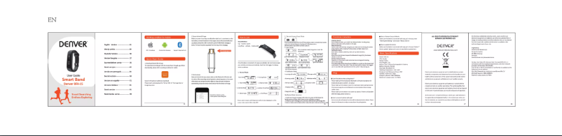 Page 1 de la notice Manuel utilisateur Denver BFA-15