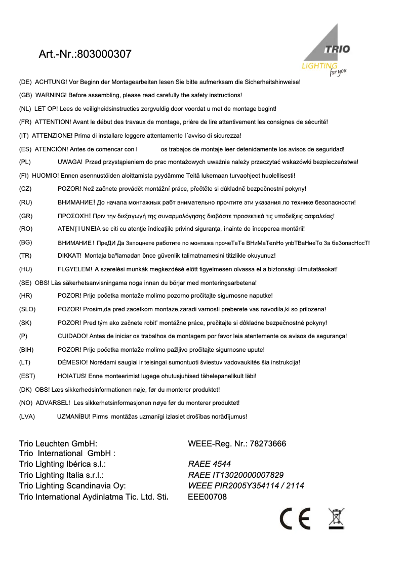 Page 1 de la notice Manuel utilisateur Trio Lighting Michael 803000307