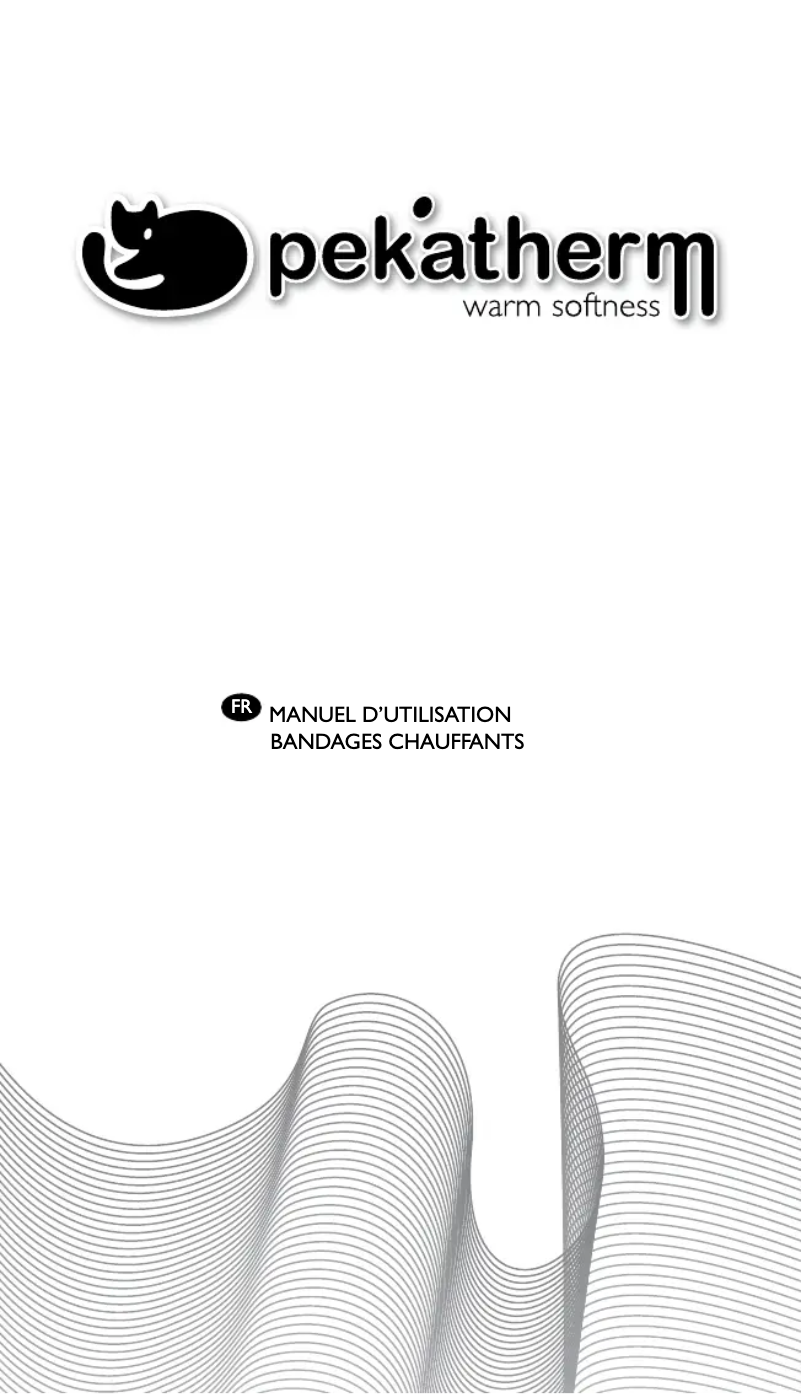 Page 1 of the manual User Manual Pekatherm AE814