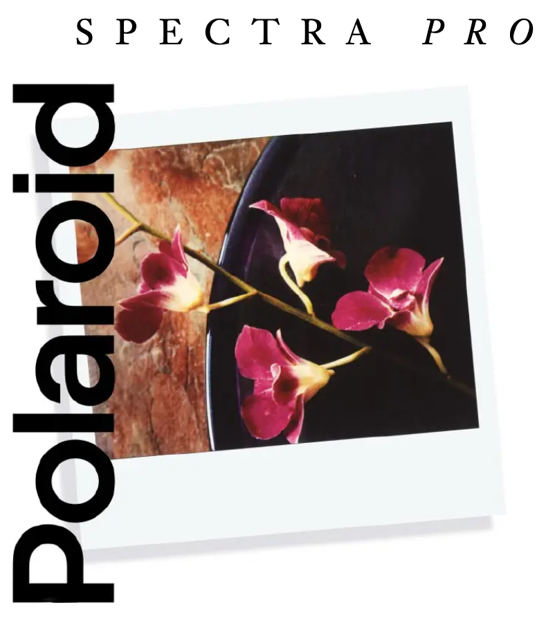 Page 1 de la notice Manuel utilisateur Polaroid Spectra Pro