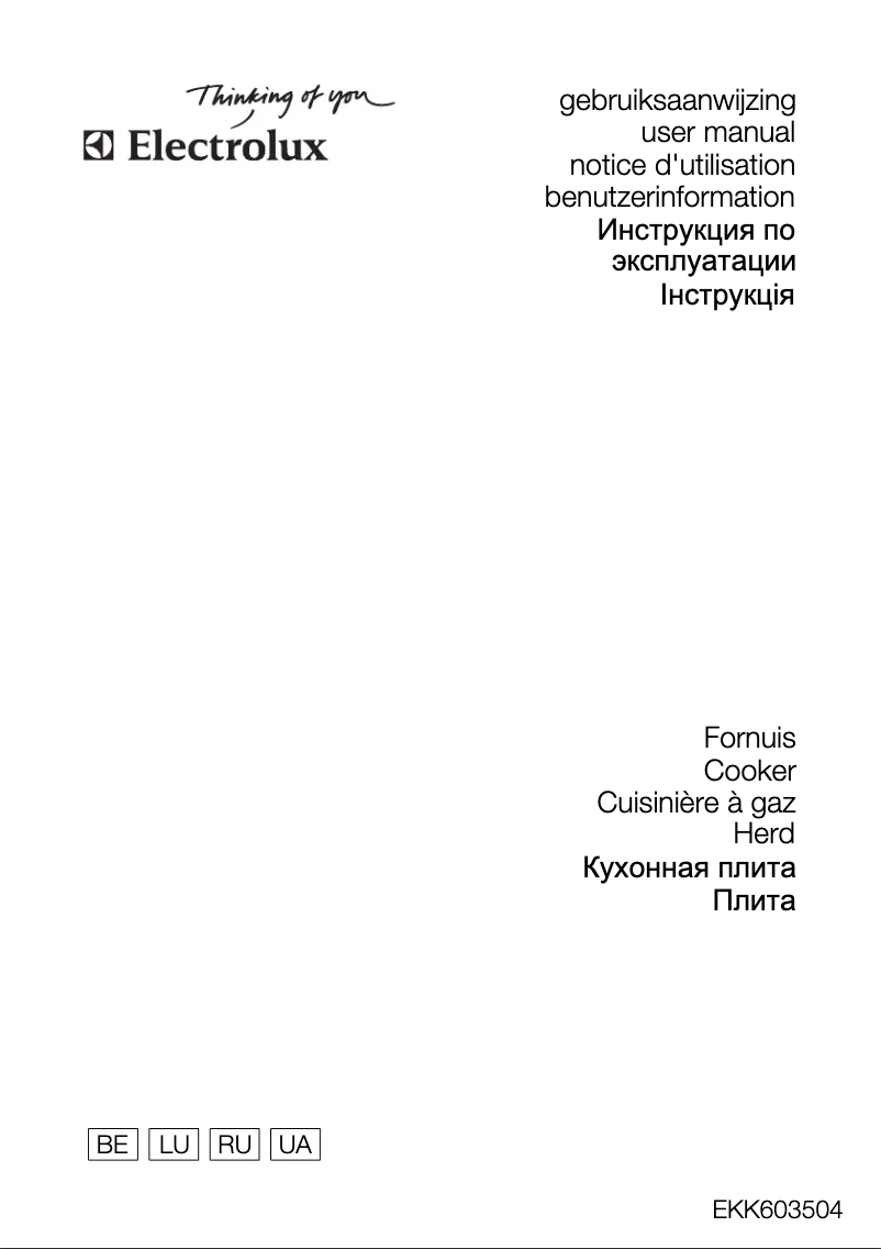 Page 1 de la notice Manuel utilisateur Electrolux EKK603504X