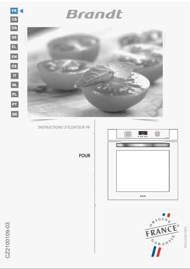 Page 1 de la notice Manuel utilisateur Brandt BOP2438BB