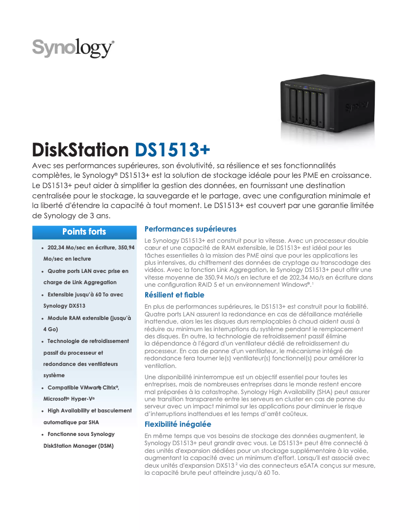 First page image of the manual for DS1513+