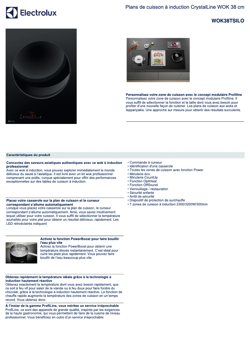 Page 1 de la notice Fiche technique Electrolux WOK38TSILO