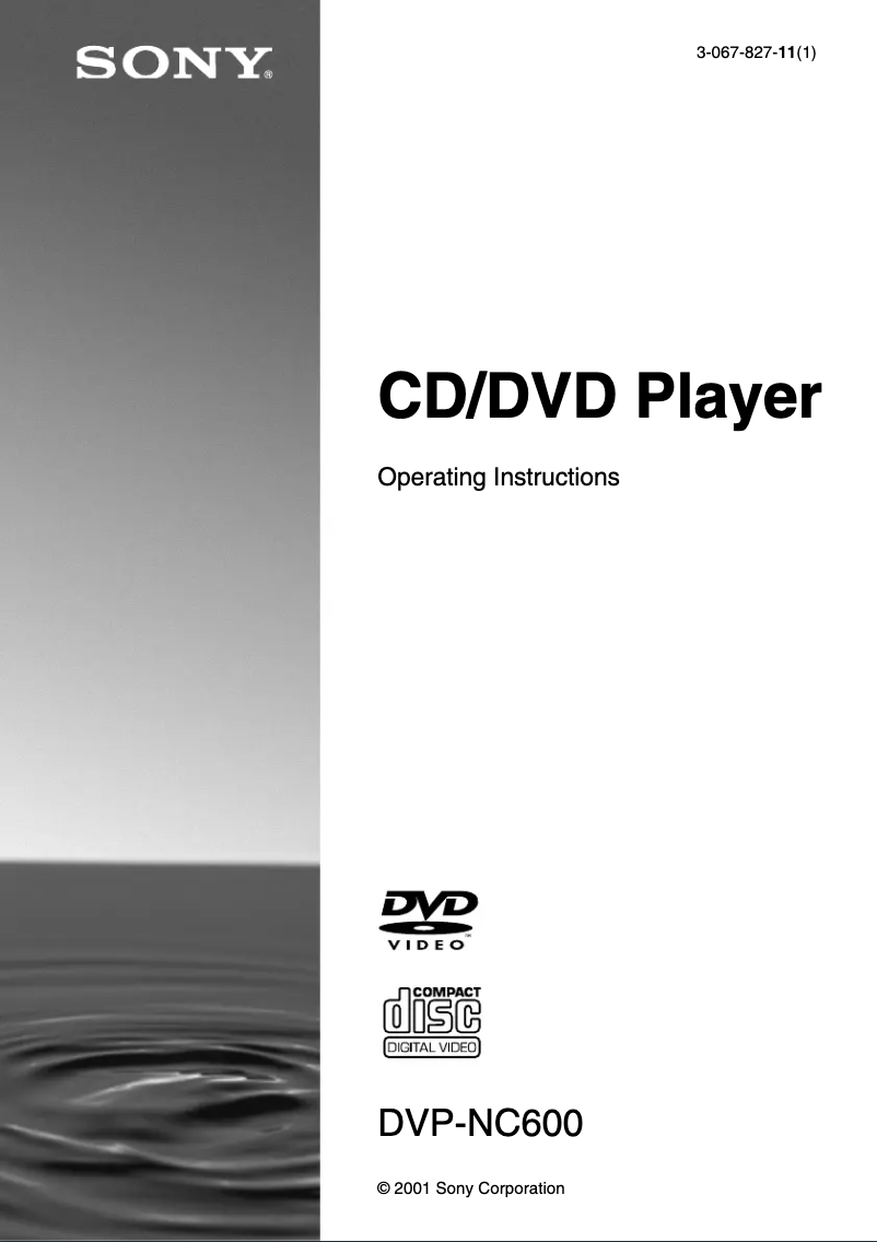 Imagen de la primera página del manual del dispositivo DAV-L8100