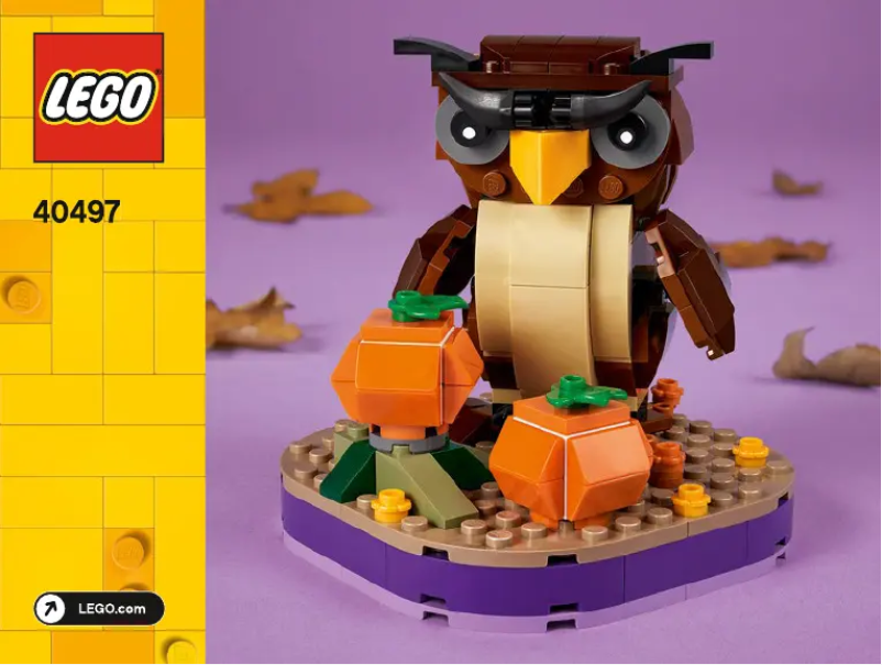 Image de la première page du manuel de l'appareil Seasonal 40497