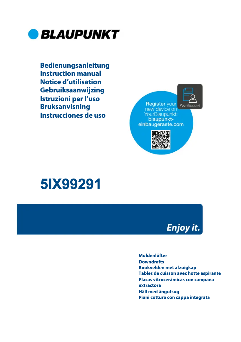 Página 1 del manual Guía de instalación Blaupunkt 5IX99291