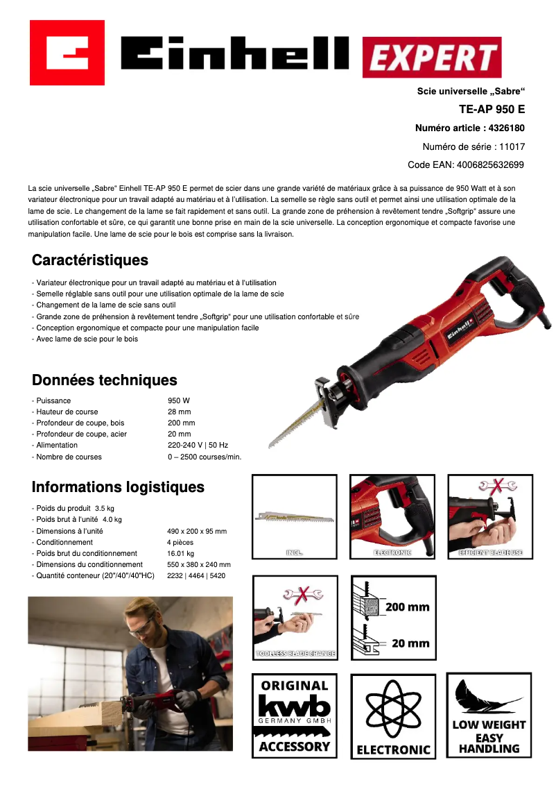 Page n°1 - Fiche technique Einhell TE-AP 950 E