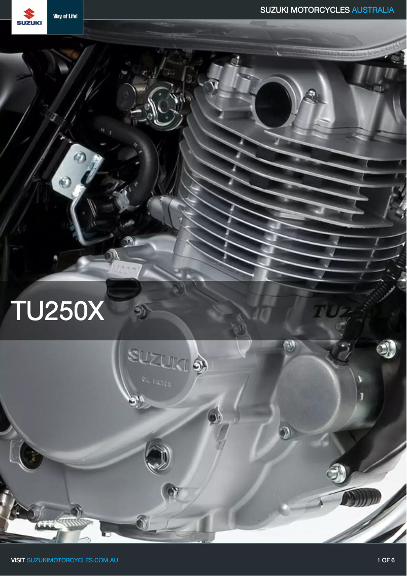 Image de la première page du manuel de l'appareil TU250X