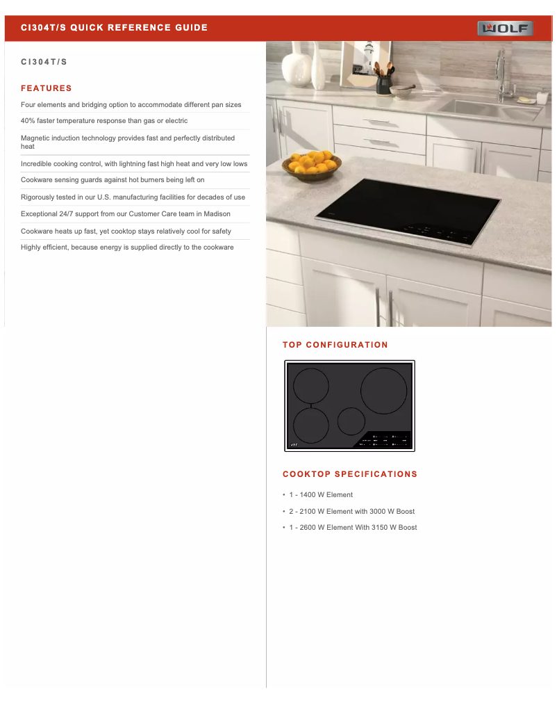 Image de la première page du manuel de l'appareil CI304T/S
