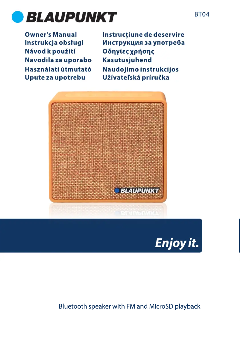 Image de la première page du manuel de l'appareil BT04OR