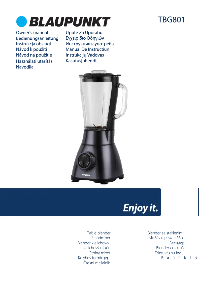 Page 1 de la notice Manuel utilisateur Blaupunkt TBG801