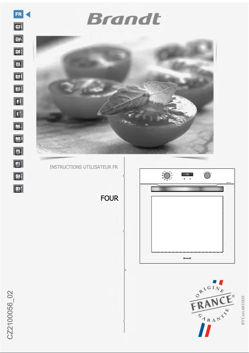 Image de la première page du manuel de l'appareil BFP2521B