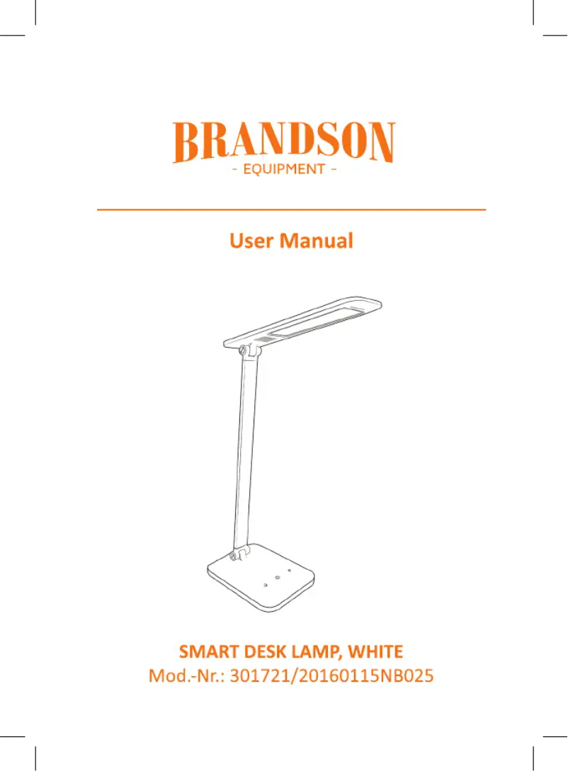 Page n°1 - Manuel utilisateur Brandson 301721