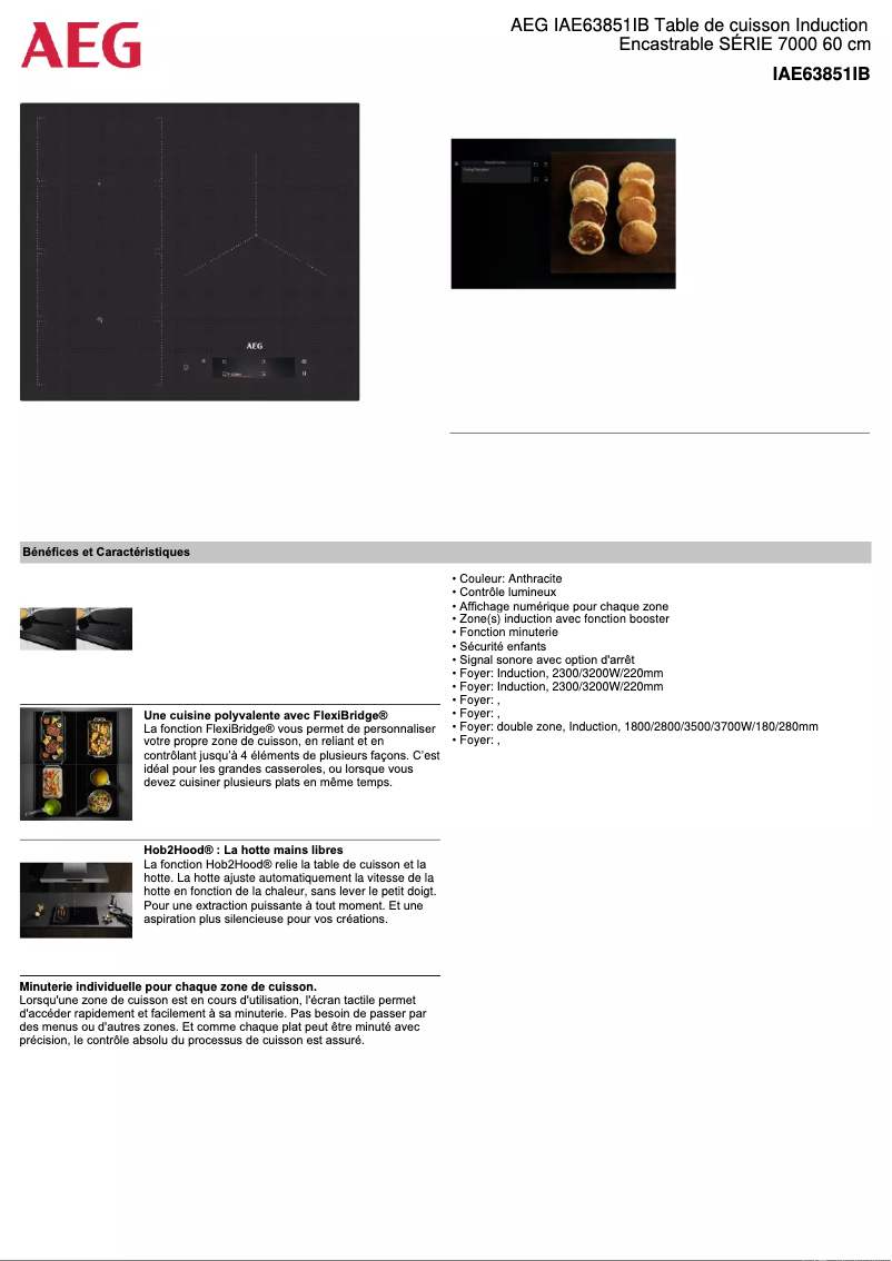 Imagen de la primera página del manual del dispositivo IAE63851IB