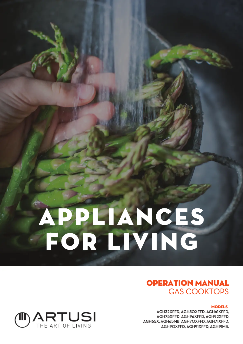 Page 1 de la notice Manuel utilisateur Artusi AGH65MB