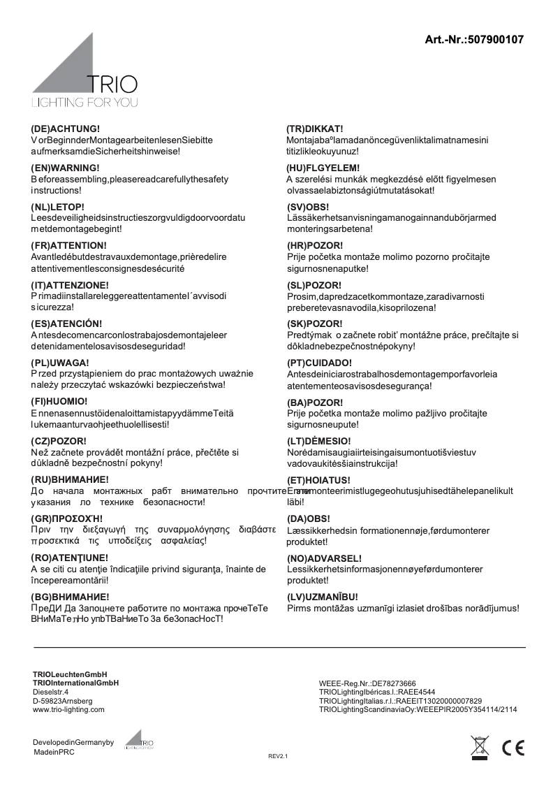 Page n°1 - Manuel utilisateur Trio Lighting Arcor 507900107