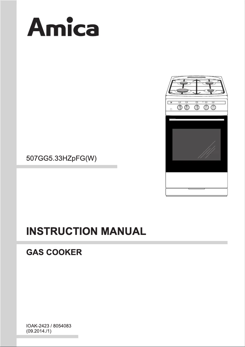 Page 1 de la notice Manuel utilisateur Amica 508GG5