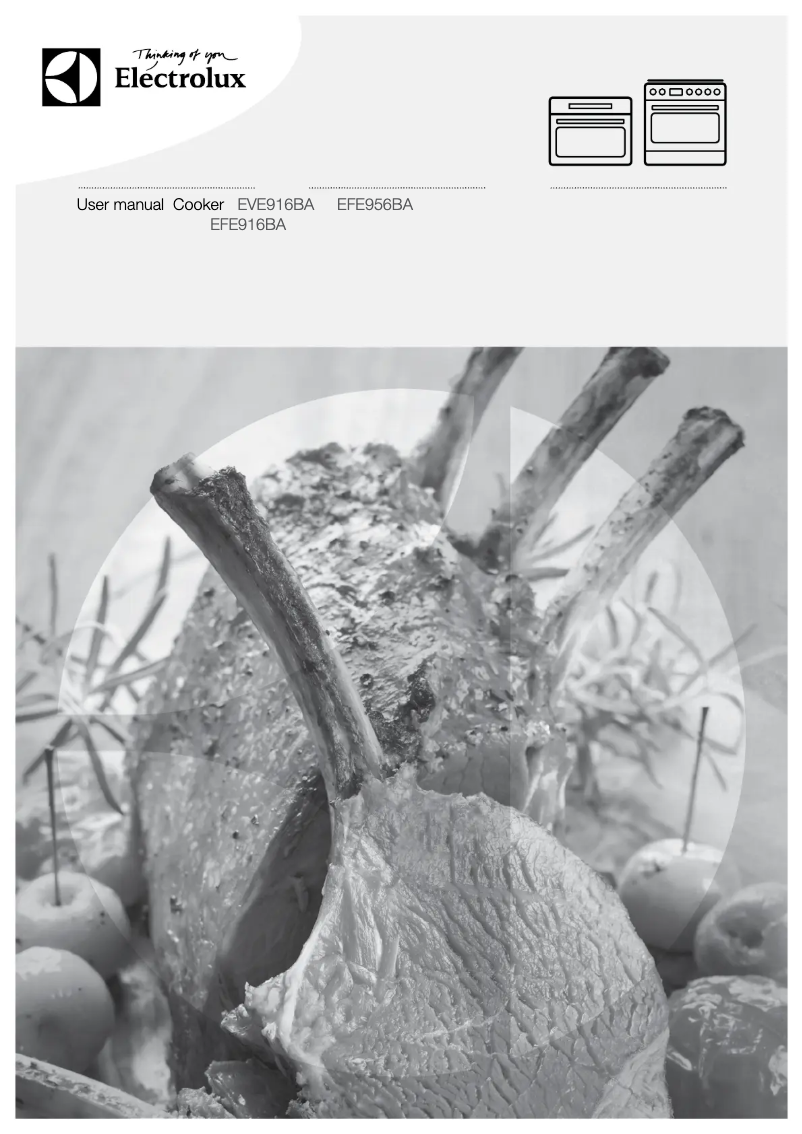 Page 1 de la notice Manuel utilisateur Electrolux EFE916BA