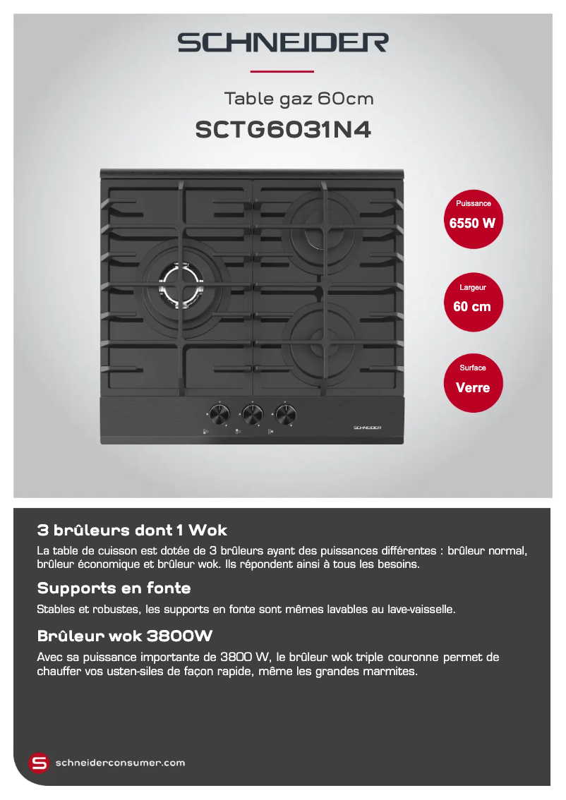 Page 1 de la notice Fiche technique Schneider SCTG6031N4