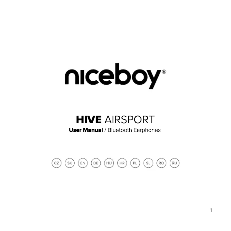 Page 1 de la notice Manuel utilisateur Niceboy HIVE Airsport