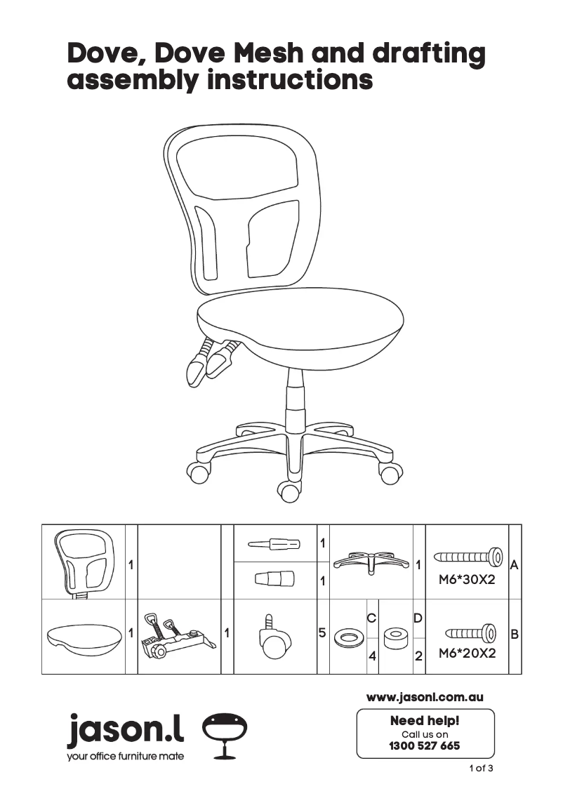 Image de la première page du manuel de l'appareil DVM1000BK