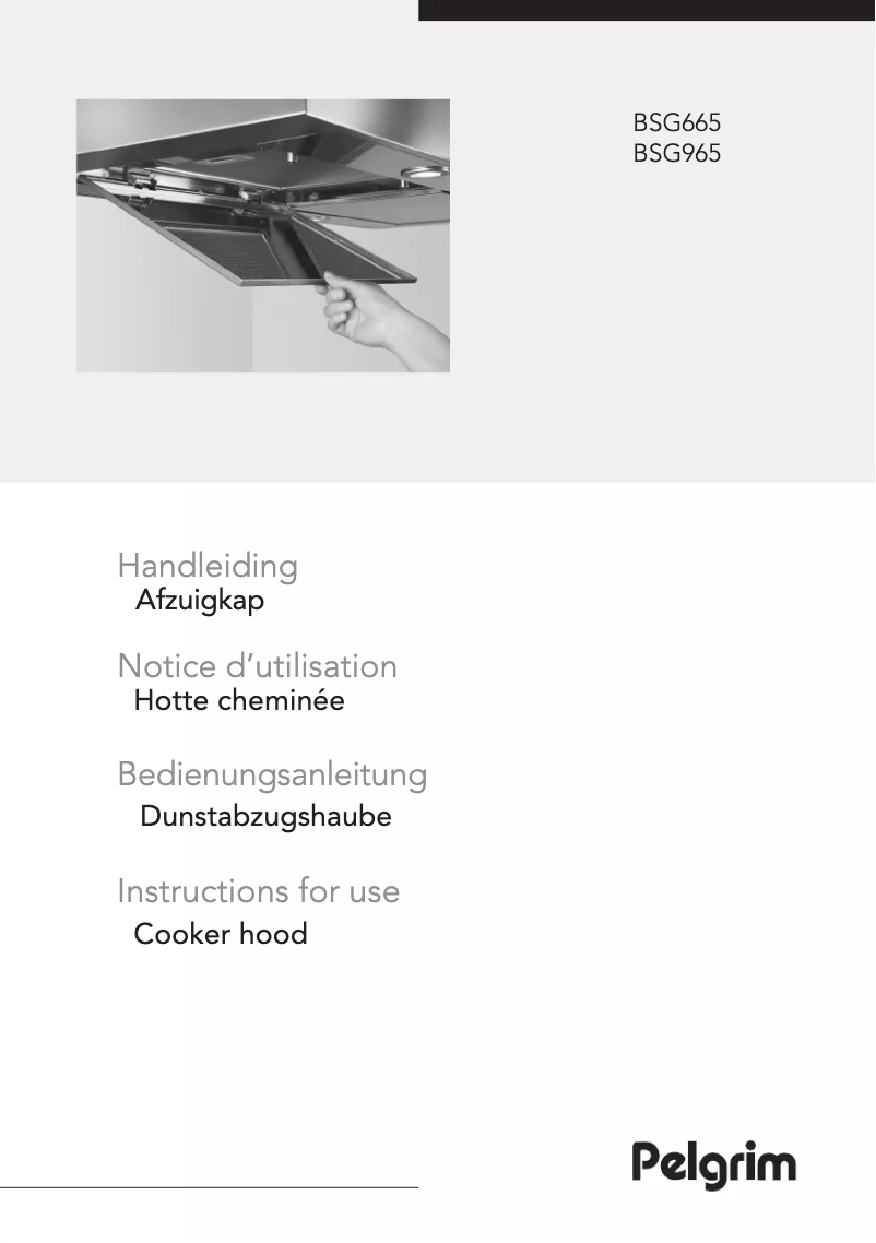 Page 1 de la notice Manuel utilisateur Pelgrim BSG965MAT