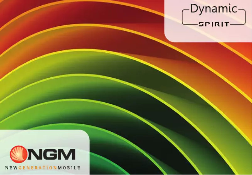 Image de la première page du manuel de l'appareil Dynamic spirit