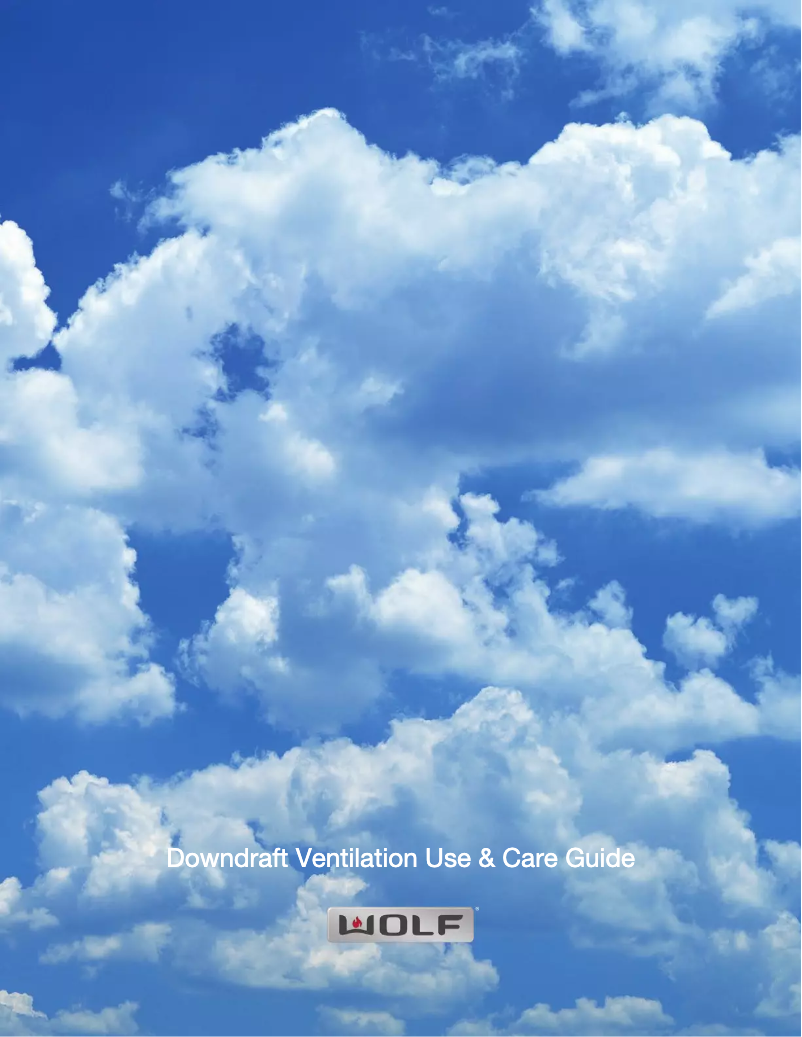 Page 1 de la notice Manuel d'utilisation et d'entretien Wolf DD45