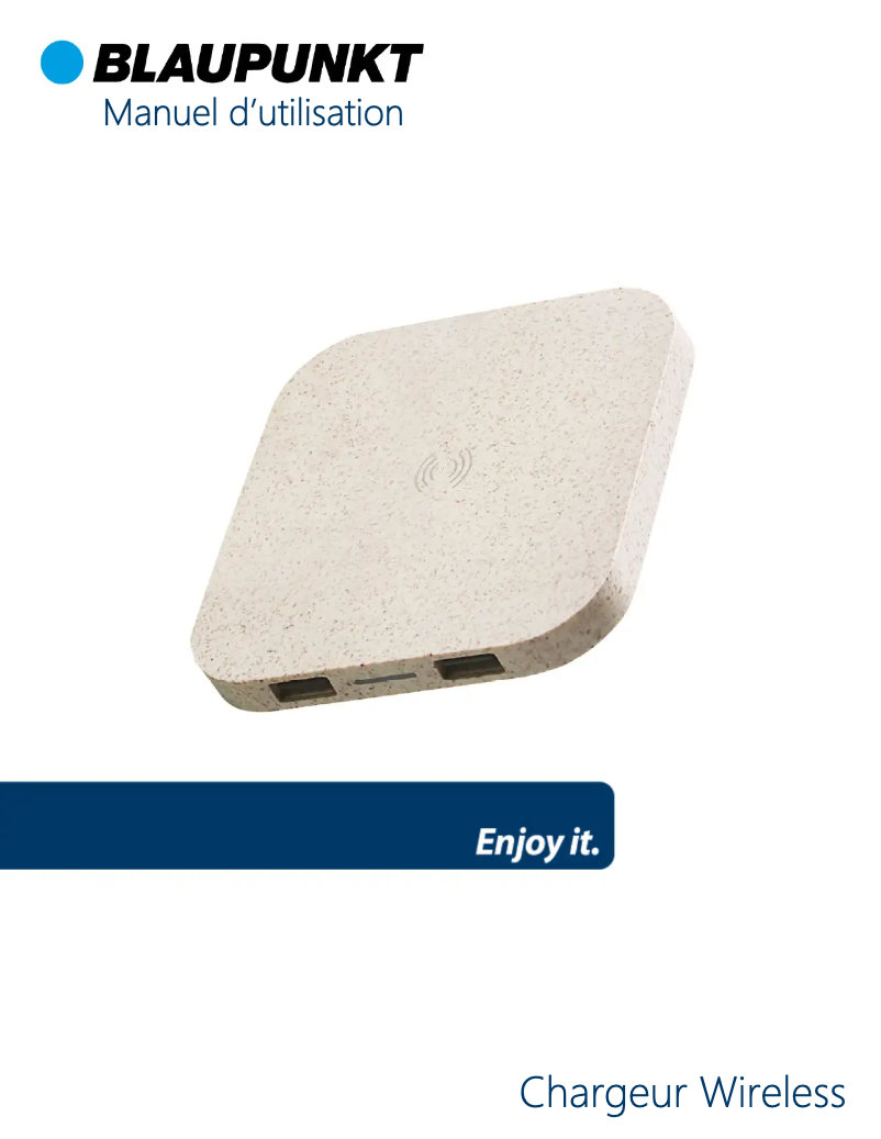 Página 1 del manual Manual de usuario Blaupunkt BLP0232