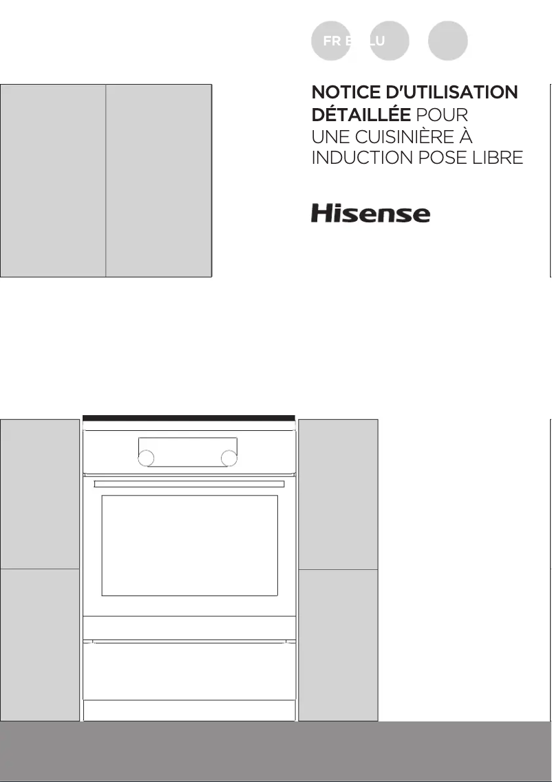 Page n°1 - Manuel utilisateur Hisense HI65222BB