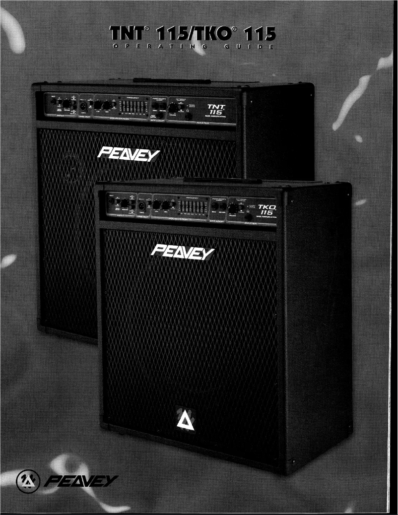 Page 1 de la notice Manuel utilisateur Peavey TKO 115