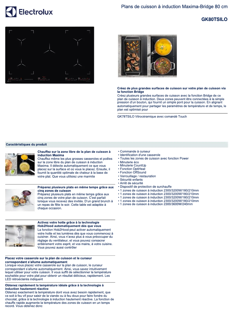 Page n°1 - Fiche technique Electrolux GK80TSILO