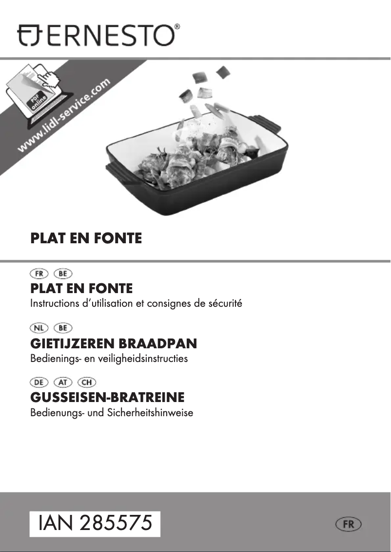 Page n°1 - Manuel utilisateur Ernesto HG00769